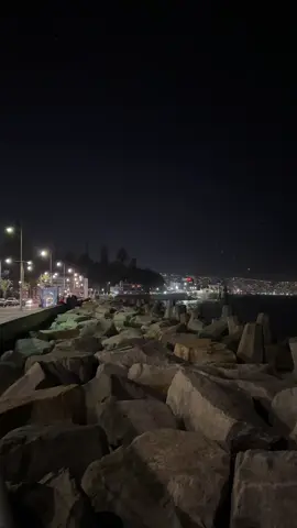 智利夜景太迷人了！Valparaíso／Viña del Mar 夜晚的海邊超浪漫 昨晚我獨自走到防波堤邊，聽著海浪拍打岩石的聲音，對岸整片城市燈火閃爍，像星星掉進了海裡✨ 這種寧靜又震撼的感覺，真的只有親眼看到才能體會。 🌊 這裡的夜晚不吵不鬧，只有海風和燈光，適合一個人散步、放空、甚至思考人生。 📍Valparaíso 或 Viña del Mar 的海岸，是我在智利最愛的夜景之一！ 👉 喜歡這種寧靜風景嗎？請幫我點個贊＋關注，陪我一起走過世界各地的美景🌍 ⸻ 🌃 Noches mágicas en la costa de Valparaíso / Viña del Mar Anoche caminé sola por el rompeolas y me encontré con esta vista: El sonido de las olas, el viento del mar y miles de luces titilando en la distancia, como estrellas cayendo sobre el océano ✨🌊 📍Esta es una de las vistas nocturnas más hermosas que he visto en Chile. Paz, belleza y conexión total con el universo. ❤️ Si te gustan los paisajes tranquilos como este, regálame un like y sígueme para seguir explorando juntos el mundo 🌍 #智利旅行 #夜景 #瓦爾帕萊索 #維尼亞德馬 #海岸風景 #旅行日記 #環球旅居 #Valparaíso #ViñadelMar #ChileNocturno #PaisajesDelMundo #LikeYSígueme