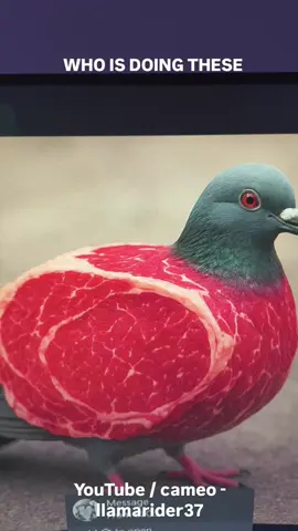 THESE SCIENTISTS ARE MESSING WITH MOTHER NATURE