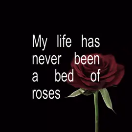 this part so amazing                                                  #songlyrics #mindlessselfindulgence #lirycs_music #🦑🐇 #msi #fyppppppppppppppppppppppp #bedofroses #fypシ゚ #lirycsvideo #fyp #music #bratgenerator #song 