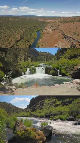 NEW Relaxing Nature Escape Video Available! Follow the link in my profile to watch the full video! Let the rushing waters of Steelhead Falls, echoing through Oregon’s high desert canyon, guide you into a place of calm and clarity. Surrounded by rugged cliffs, vibrant greenery, and the soothing rhythm of the Deschutes River, this peaceful escape offers just a glimpse of the full video—filmed to bring you serenity, stillness, and the raw beauty of Central Oregon’s wild landscapes ☺️