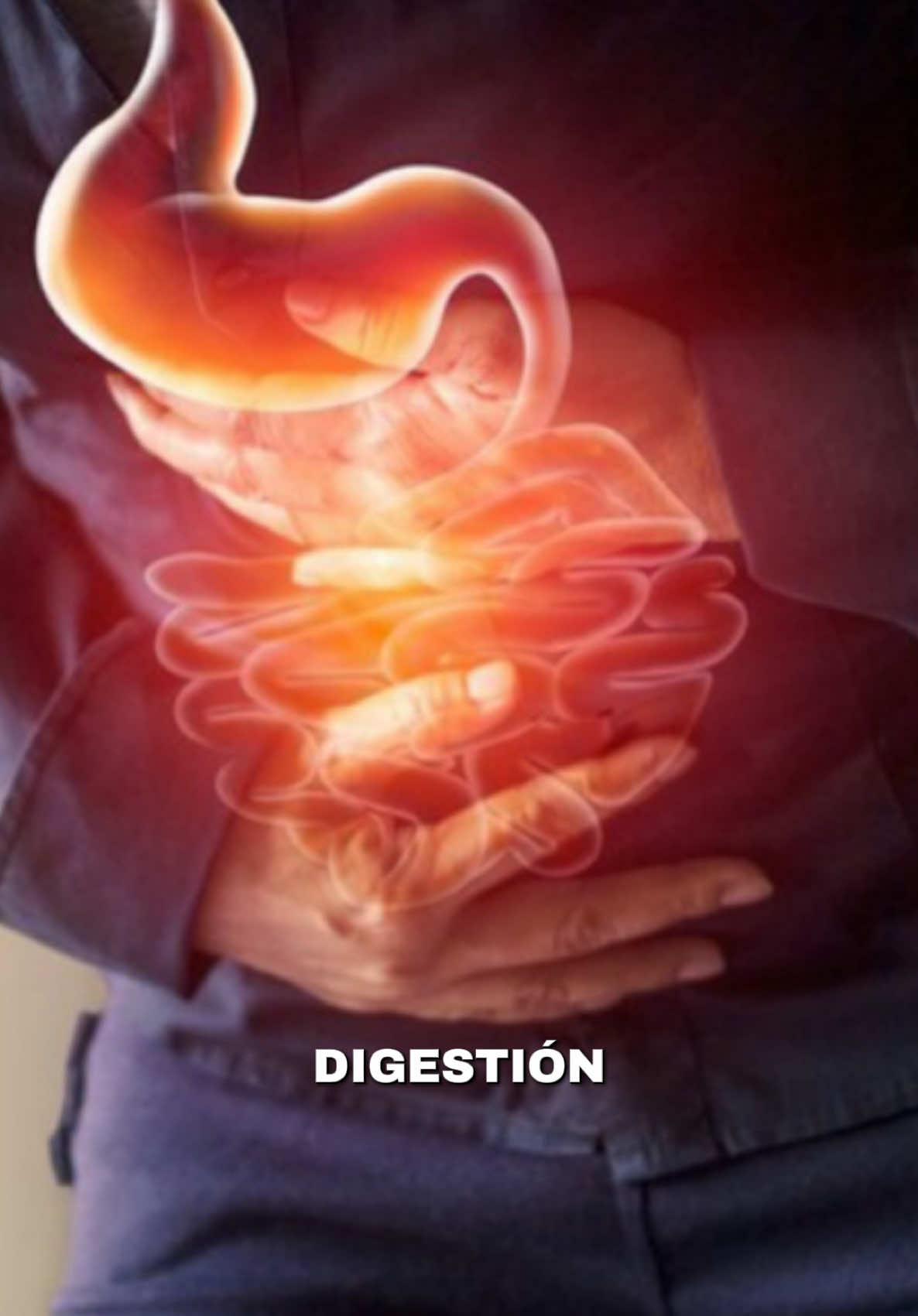 Mi problema de todos los días es la hinchazón del abdomen 