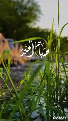 #صباح_الخير #اذكارالصباح #اكسبلور #