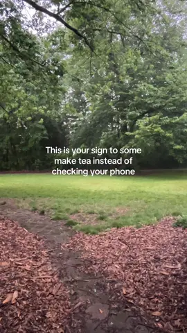 You don’t have to earn rest. #slowlivingforbusypeople #slowlivingtok #digitaldetox #slowliving