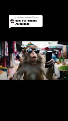 Membalas @antronotlaut  anton anton hmm #fyp #monyet #viral 