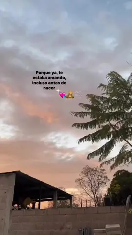 Solo Tu Me Haces Sentir Lo Que Realmente Es Amor💋🥀#solotu #calibre50 #paratiiiiiiiiiiiiiiiiiiiiiiiiiiiiiii #viralvideo #musica #fyppppppppppppppppppppppp #dedica 