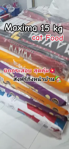 อยากให้แมวตัว อ้วน  แนะนำmaxima กินได้ทั้งลูกแมวและแมวโต #maxima15kg #อาหารแมวแม็กซิม่า #อาหารแมวแม๊กซิม่า #อาหารแมวไม่เค็ม #อาหารแมวขายดี #สวนตว์tiktok #ทาสแมว #cat @Nurfaria Faria Shop @Nurfaria Faria Shop @Nurfaria Faria Shop 