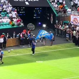 ارفع راسك أنت هلالي 💙 #الهلال #كأس_العالم #explore #foryou 