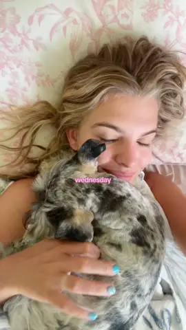 🩷can this be my application to be your new favorite small tiktoker hehe?✨ lets be friends 🥰