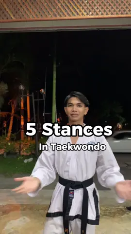 5 Basic Stances in Taekwondo #fyp #taekwondo #sttc 
