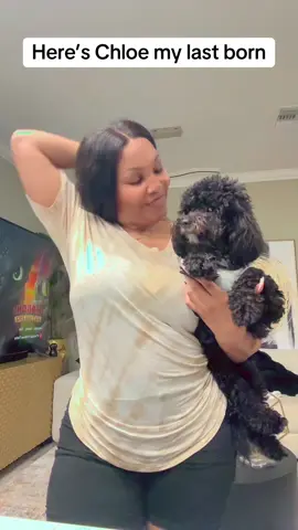 For everyone asking about Chloe here she is #furbaby #chloe #fypage #creatorpilotprogram #dogsoftiktok 