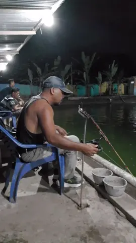 Galatama Patin DEVON Giant Catfish Lubuk Linggau #fyp#Fyp #fypシ゚ #fypviral #fyppppppppppppppppppppppp #galatamapatin #galatama #galatamalele #galatamaikanmas 