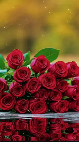 صباح الخير للغالين  #صباح_الخير #صباح #اكسبلور  #goodmorning #fyp #viral #foryou #foryoupage @O.X.Y.G.E.N 