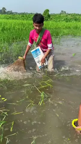 Most Rare Fishing Technic! #fyp #LearnOnTikTok #viral #video #foryou #new #amazing #fact #facocean #factflare #interesting #information  #viralvideo #foryoupage 