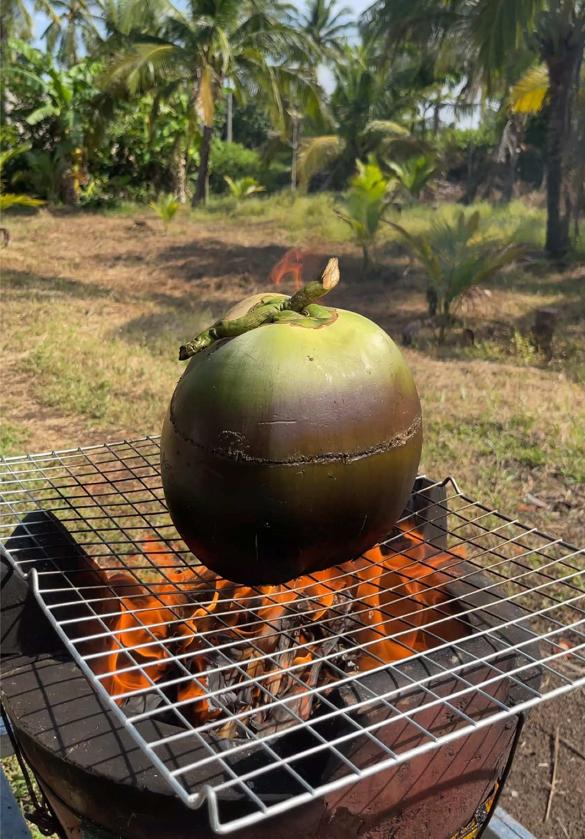Grilled Coconut?! Watch What Happens Inside #foodhack #outdoorcooking #EasyRecipe #homecooking 