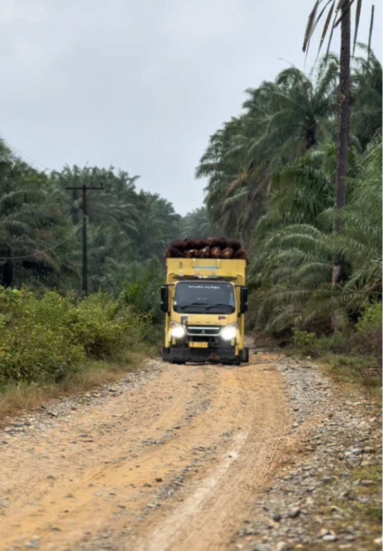 🫩😴 #fyp #tokeroyalgroup #jambistyle #sawitontiktok #truksawitriau #drivermuda 