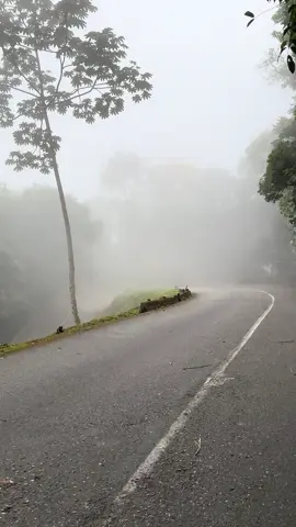 El Camino a la Felicidad ⛰️  Parque Nacional Henri Pittier Carretera Nacional Maracay - Ocumare de la Costa de Oro.  ¿Pasaste por acá? 