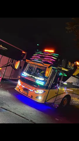kalian pada ikut waduk karian ga ? spil unit yang bakal kalian naikin ges  #trip #waduk #karian #sanjaya #panglima #foto #live #malam #busmaniacommunity #bus #telolet #basuri #bismillahfypシ #fyp #rame #vira #artist #bogor #attohir 