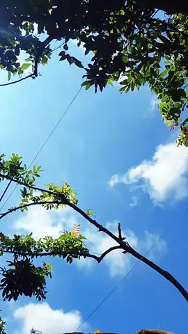 #langit #langitaesthetic #fyp #awan #sianghari #trend #trending #favorite #foryou #foryoupage 