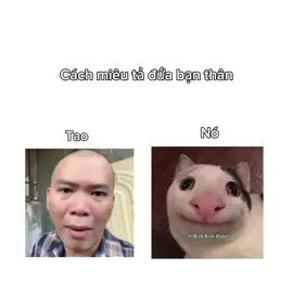 #xuhuong #tiktok #meme #luocxem #xuhuongtiktok #aihuocvuinhon #hkkkkk🤣🤣🤣 #aihuoctiktok #hahaha😂😂😂 #uocduoclenxuhuong #hkkkkk🤣🤣🤣 #aihuocvui #banthan bạn thân ơi