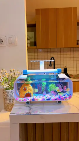 Wanita tidak bercerita, tiba tiba punya aquarium..  #aquarium #aquariumaesthetic 