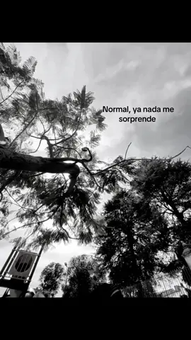 #normal #sorprende #paratii #blancoynegro #fyppppppppppppppppppppppp 