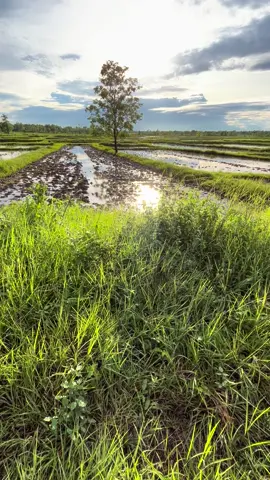 #ท้องฟ้า⛅🌈#วิวบ้านนอก🍃#ทุ่งนา#ฟีดดด
