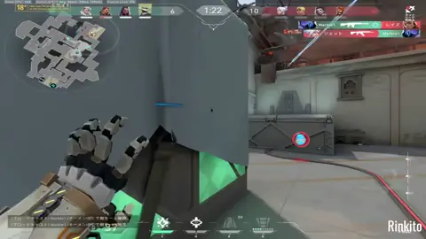 #fy #fyp #perryl0veu #Valorant  #gamevalorant #valorantfunny #FunnyVALORANT 