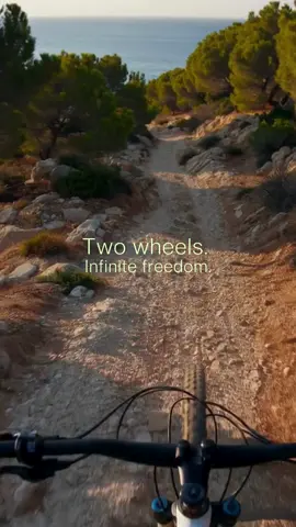 Would you ride this trail in Ibiza? Ride through pine trails, rocky paths, and sea views. Discover Ibiza the wild way — on two wheels. 🚴‍♂️🌅 Every turn is a heartbeat. Every ride, a story. Feel the island, turn by turn. 📲 Book your outdoor adventure with behyve now.✨ #MoveWithStyle #behyveibiza  #IbizaAdventure 🚵‍♀️ #BikeIbiza 🌄 #MountainBikingIbiza #OutdoorIbiza 🌿 #CyclingExperience #IslandVibes 🏝️ #ActiveTravel 🧭 #NatureRide 🚴 #BookWithbehyve 📲 #EcoTourismIbiza 