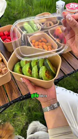 Hộp đựng cơm dùng một lần cho các buổi dã ngoại ngoài trời, rất tiện lợi cho các buổi dã ngoại và cắm trại!! #thietthuc #hopgiaydungdoan #tienich #creatorsearchinsight #giadungnhabep #jizonguyen 