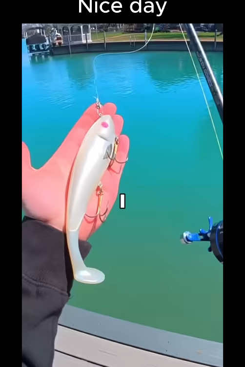 #xuhuong #fishing #camping #trending #hottrend 