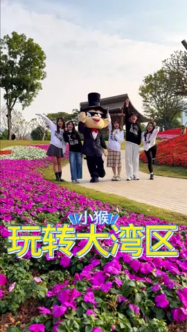 Money Monkey带你玩转大湾区—前海桂湾公园#深圳 #旅游 #大湾区 #周末好去处 #深圳旅游攻略 