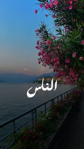 يقولو غلطه تفوت …ولا حد منها يموت✨✨#اكسبلور #cupcut #راشدالماجد🤍 #راشديات💙 #راشد_الماجد #راشد #راشديات #رشودي #رشودي_الماجد #هوالخسران #هو_الخسران #الخسران 