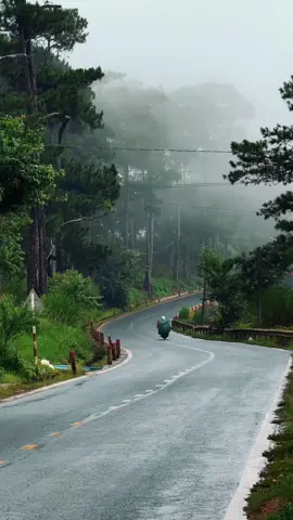 Chiều mưa mùa hạ #dalat #đàlạt #chill #reviewdalat #dalatdreamer 