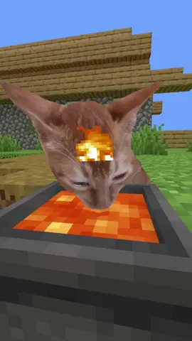 #Minecraft 