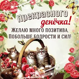 #котикиоткрытки #meuw #catsforeveryday #fyrシ #мяу #котикинакаждыйдень #мур #прекрасногодня 