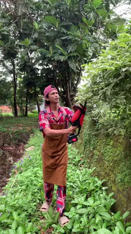 Mesin Trimmer Pemotong Dahan dan Rumput #mesin #trimmer #pemotong #dahan #rumput 