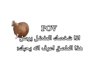كل رياكشنتي بالتيلي بالبايو😉#اكسبلور #fyp #viral #foryou #explore #fypシ 