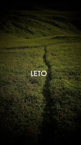 Счастье — это выбор Не тот, что громкий и легкий.   А тот, что шепчет из самой глубины: «Смотри. Дыши. Живи — несмотря на...» Это не про улыбку поверх боли.   Это про то, чтобы признать боль — и все равно найти в себе силы заметить, как луч солнца ложится на стену. ☀️   Не про игнорирование тьмы.   А про решение зажечь крошечный огонек внутри — даже когда буря снаружи кажется всепоглощающей.   Это выбор, который делается не раз в жизни, а тысячи раз за день:   -Повернуть взгляд от бездны — к единственному цветку, пробившемуся у твоего порога.   -Взять дробь секунды между стимулом и реакцией — и выбрать не ярость, а тишину.   -Отпустить железную хватку над тем, что тебе неподвластно — и направить эту освободившуюся силу на то, что можешь изменить: свой следующий шаг, свое дыхание, свой взгляд.   -Назвать по имени то, что есть — горе, страх, пустоту — и все равно шептать 