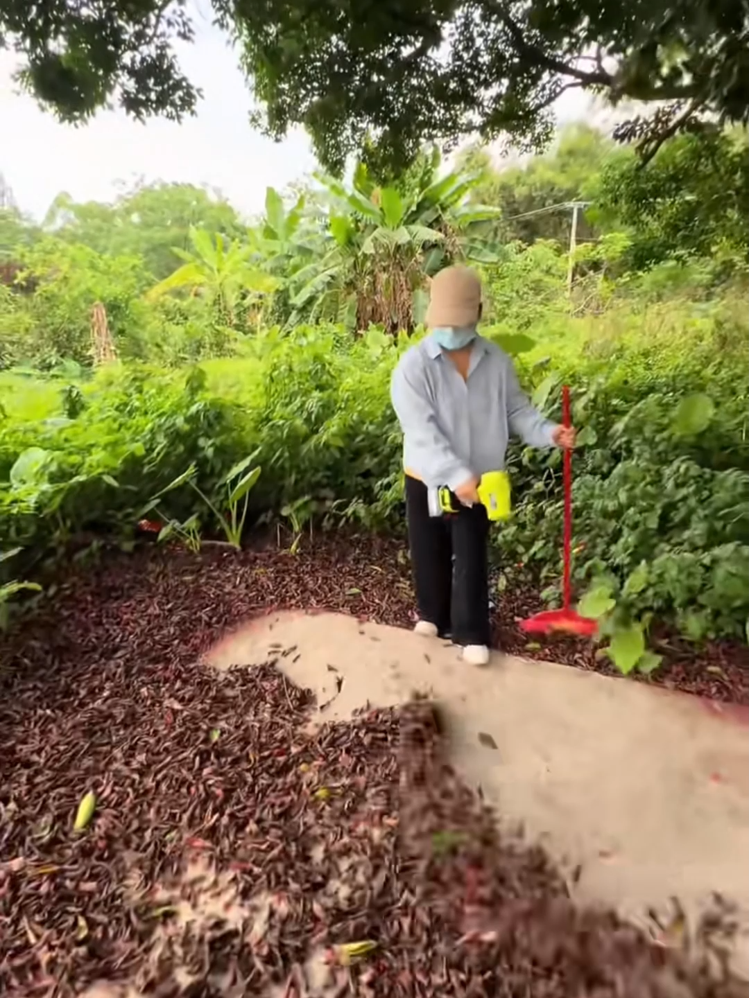Membuang habuk, sampah, daun dalam masa 5 saat sahaja - Harga yang sangat murah