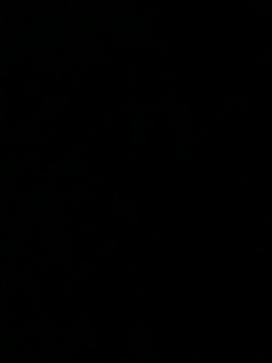 #السيد_مجتبى_الشيرازي  #موسى_الصدر 