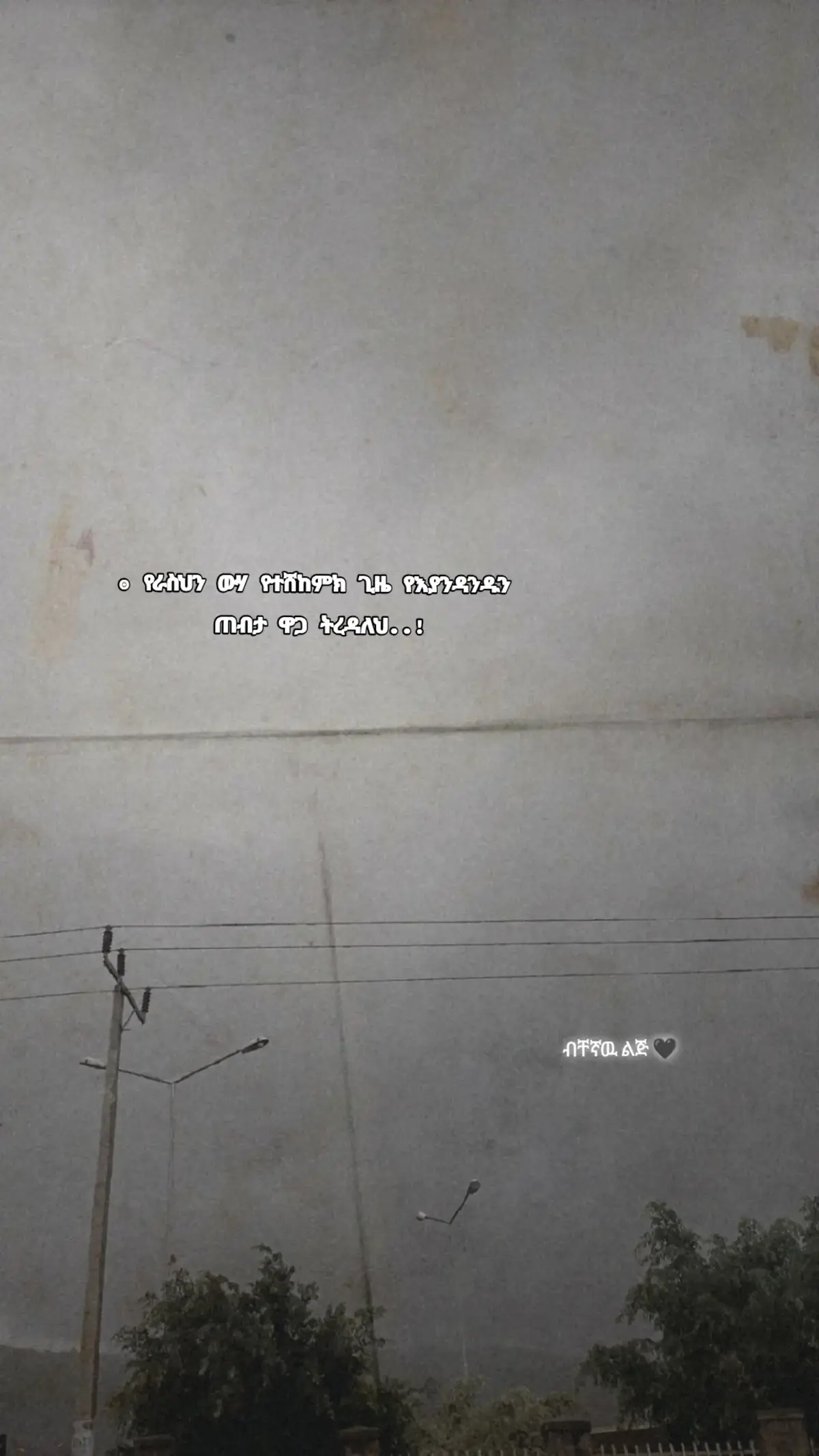 #amharicquotes #fypageシ #viralllllll #motivation 