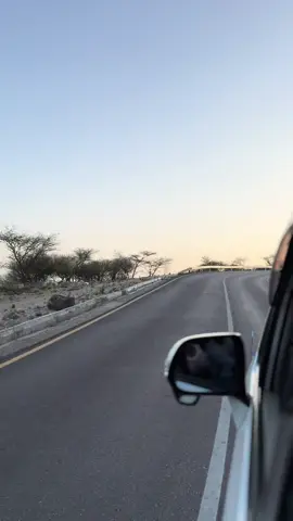 Qof ka khaldan waliga ma rali galisy si anu kga fogaan💔🔥#for #foryouu #hargeisa #burco #boorama #berbera #sool #sanaag 