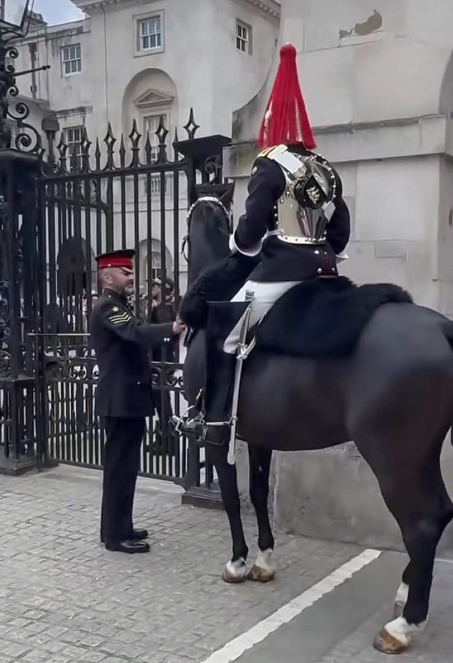 A frightened horse needs some comfort #royalguard #guard #horse #royalmoments 