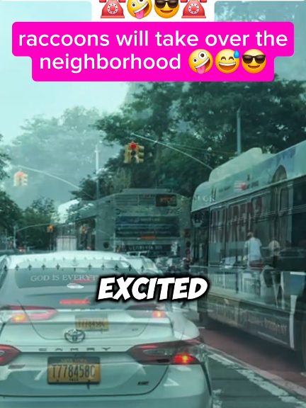 raccoons will take over the neighborhood 🤪🤣😎 Credits: @TheJubalShow  #prank #radio #brookeandjubal #funny #phonecall #fyp #funnyy #prankcall 