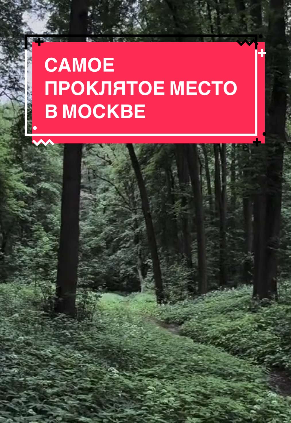 кунцевское городище – это археологический памятник и одно из древнейших поселений на территории современной москвы. оно расположено на правом берегу москвы-реки, в районе кунцево (ныне западный административный округ москвы), рядом с устьем реки сетунь. городище находится на высоком холме, окружённом оврагами и естественными преградами, что делало его удобным для обороны.