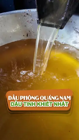 Dầu phộng đặc sản Quảng Nam là dầu tinh khiến nhất #thucong #banhdau #epdau #xuhuong #chubangepdau #ép_dầu_chú_bằng #fyp #ngheepdauquangnam #dauphongnguyenchat #daulac #daume 