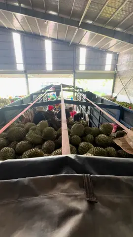 Nhanh nhanh cho tụi em xuống núi mấy anh ơi 🤨