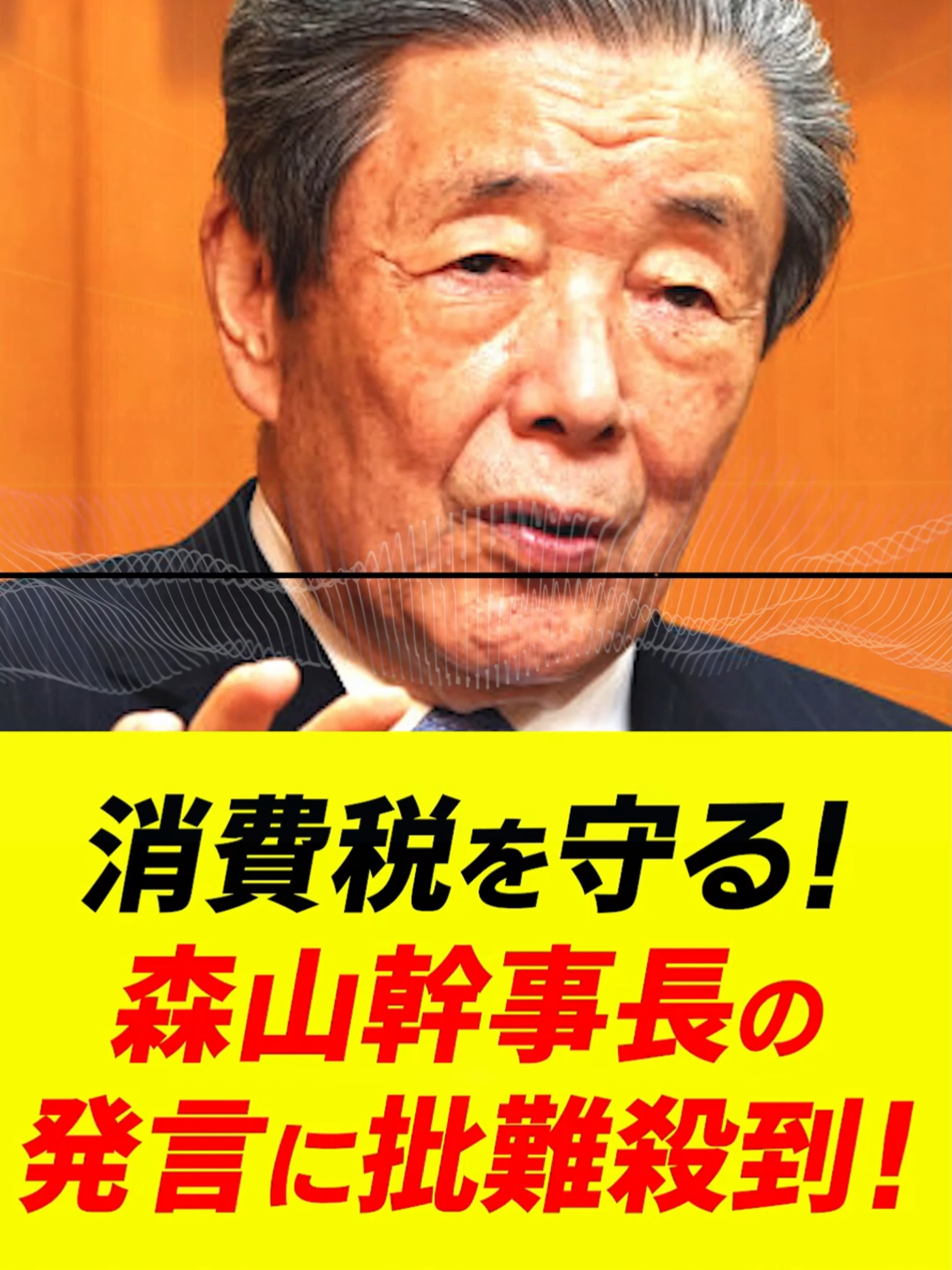 森山幹事長の発言に批難の嵐！「消費税を守ることは国民を守ること」… #消費税 #森山幹事長  #現金給付#自民党 #森山幹事長 #政治 #自民党 #ガソリン減税