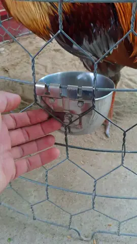 2 quai chắc chắn