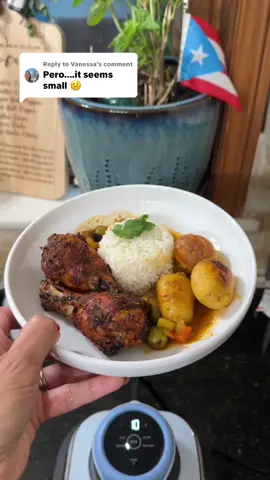Replying to @Vanessa #tiktokshopcreatorpicks #tiktokshopsummerturnup #ninjacrispi #nontoxicairfryer 